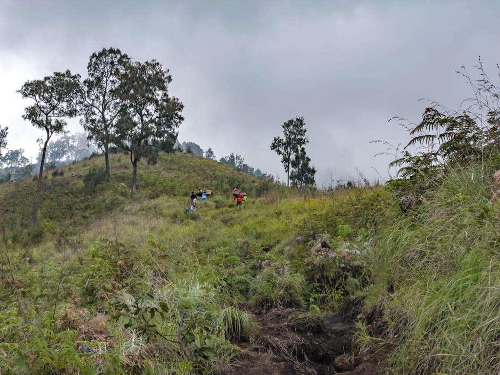 pos 3 to pos 4 sembalun route mount rinjani trek lombok indonesia - laugh travel eat
