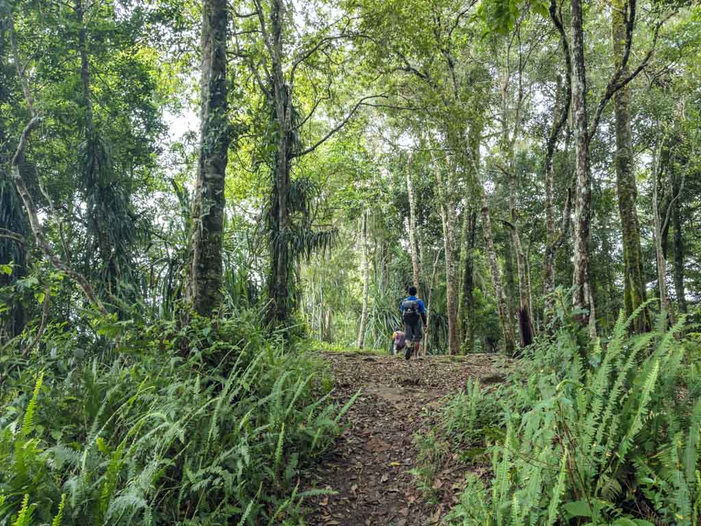 pos 3 to pos 4 senaru route mount rinjani trek lombok indonesia - laugh travel eat