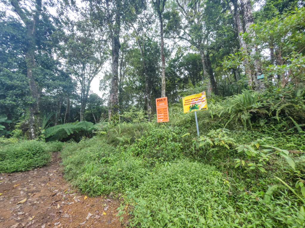 pos 3 to pos 4 senaru route mount rinjani trek lombok indonesia - laugh travel eat