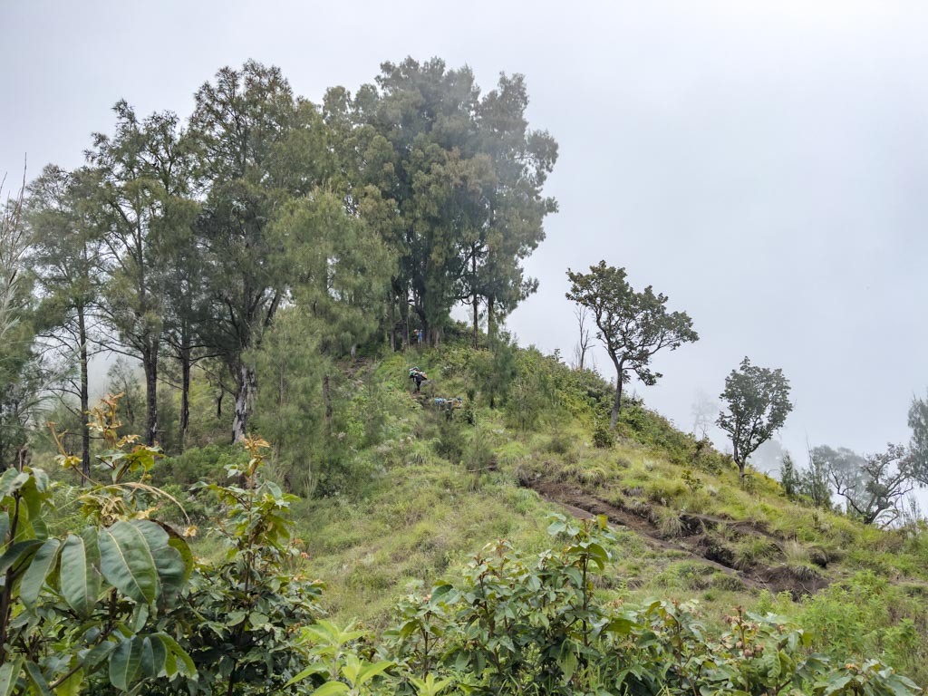 pos 4 to campsite sembalun route mount rinjani trek lombok indonesia - laugh travel eat