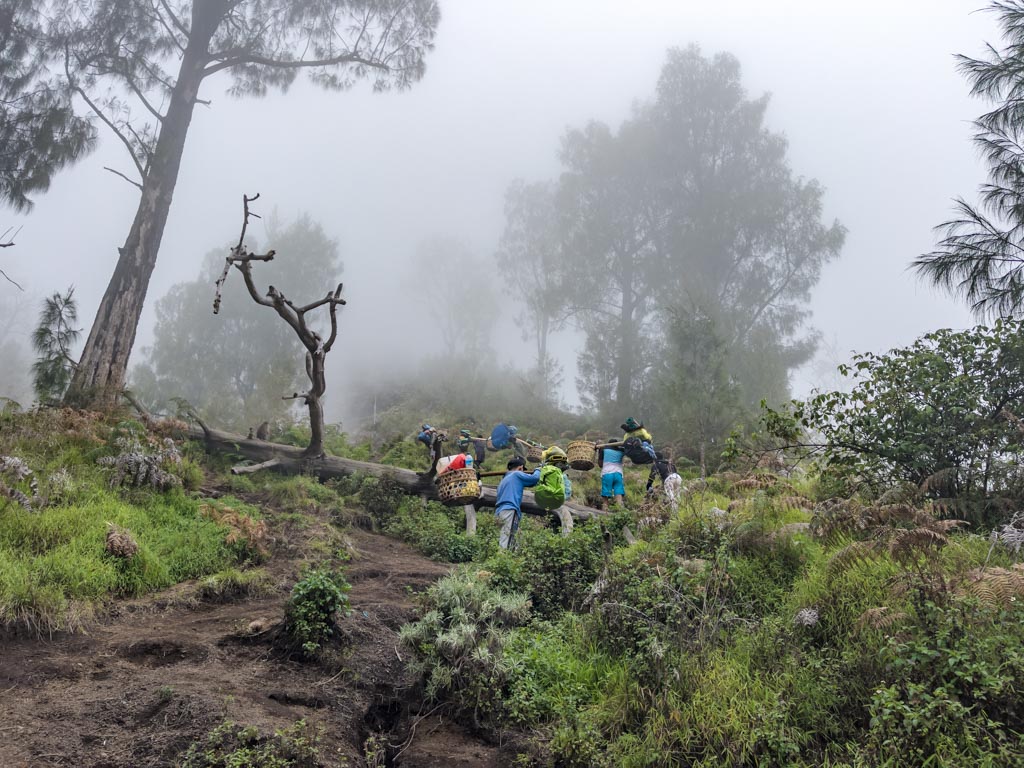 pos 4 to campsite sembalun route mount rinjani trek lombok indonesia - laugh travel eat