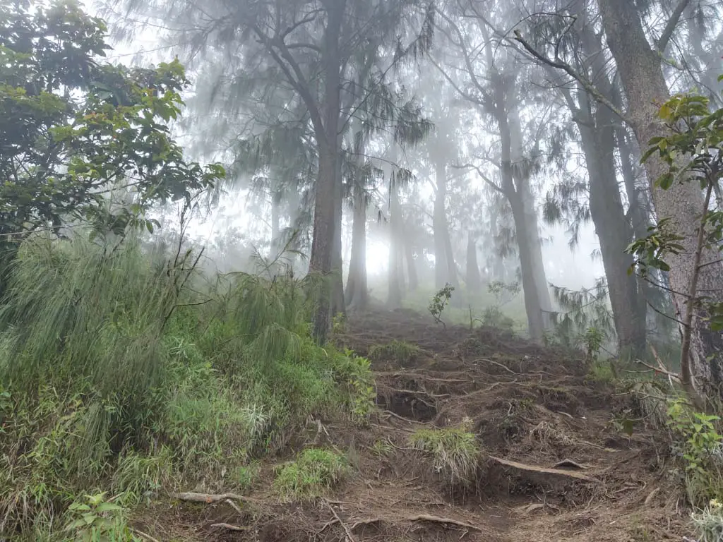 pos 4 to campsite sembalun route mount rinjani trek lombok indonesia - laugh travel eat-5