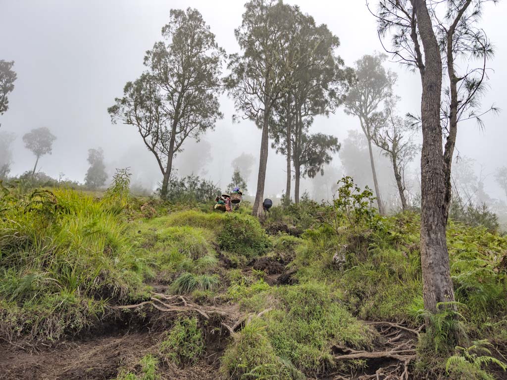 pos 4 to campsite sembalun route mount rinjani trek lombok indonesia - laugh travel eat