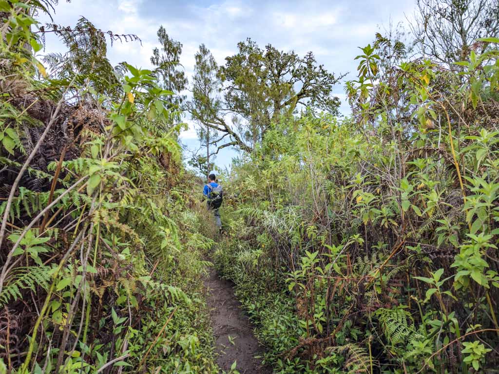 view of bali senaru route campsite mount rinjani trek lombok indonesia - laugh travel eat