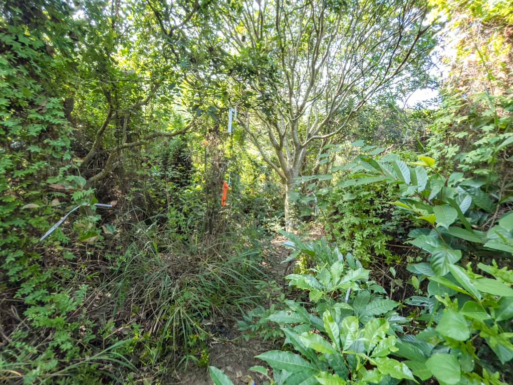 starting point to easter island rock hike lantau island hong kong - laugh travel eat