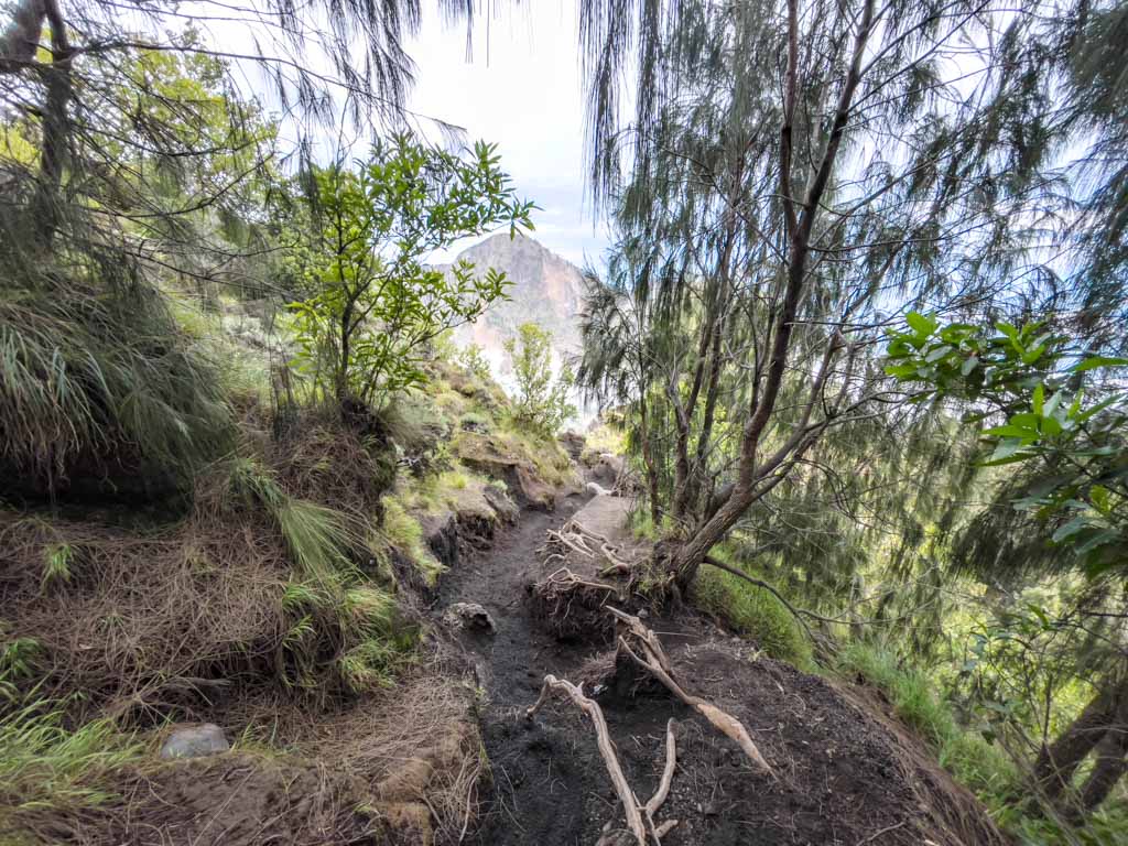 summit back to campsite mount rinjani trek lombok indonesia - laugh travel eat-4