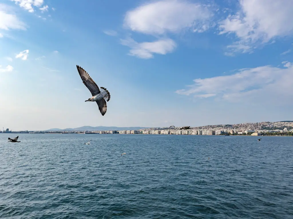 Klio Cruise Bar thessaloniki greece - laugh travel eat-3