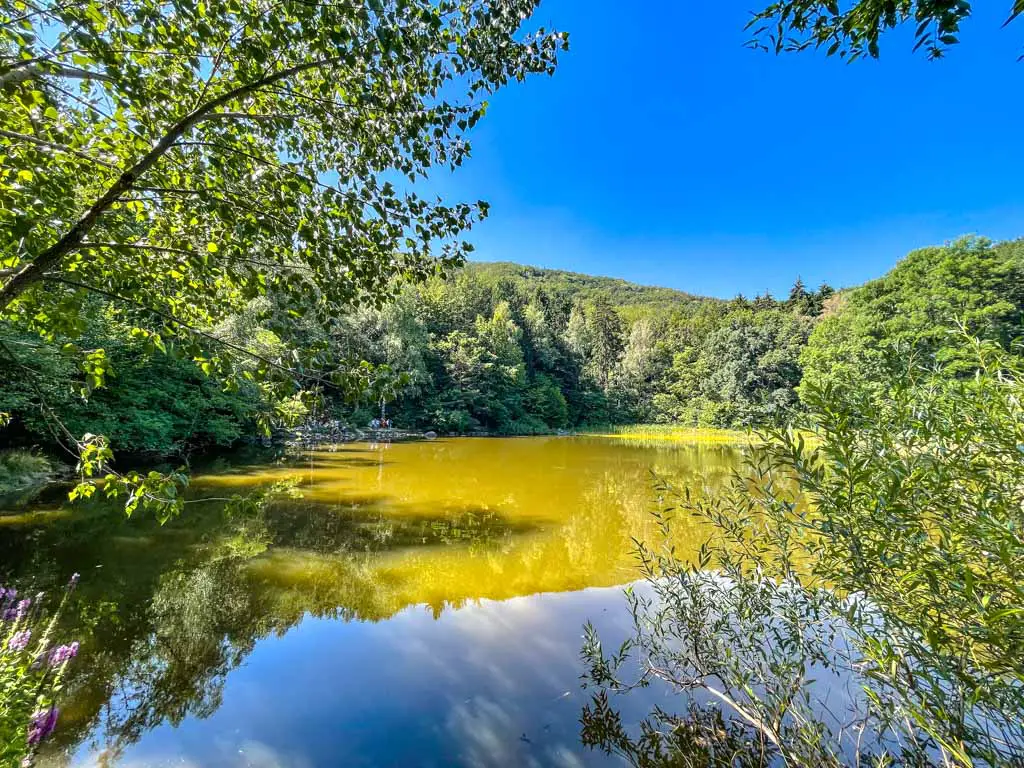 boyana lake sofia bulgaria - laugh travel eat