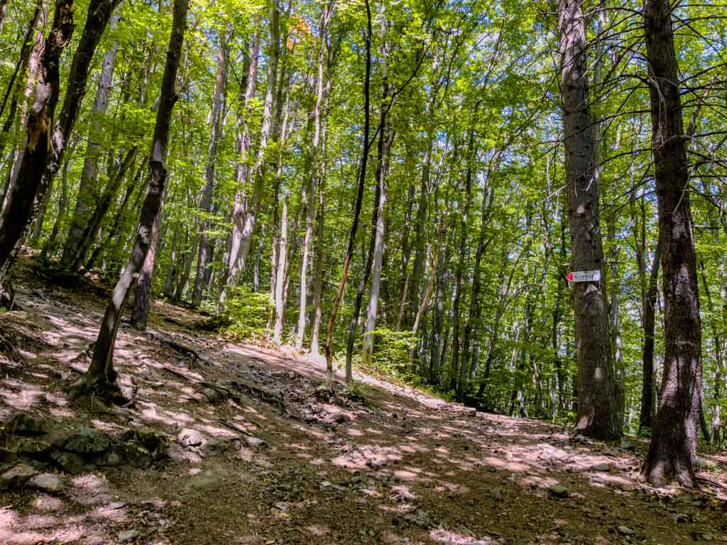 boyana lake to viewpoint vitosha sofia bulgaria - laugh travel eat