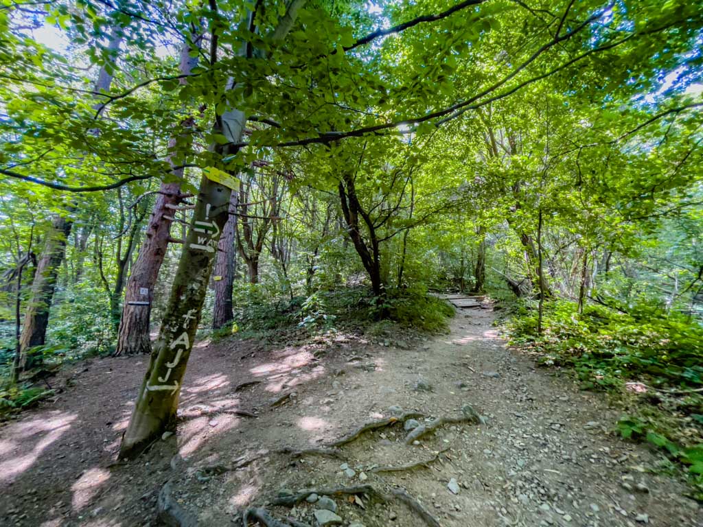 boyana lake to viewpoint vitosha sofia bulgaria - laugh travel eat