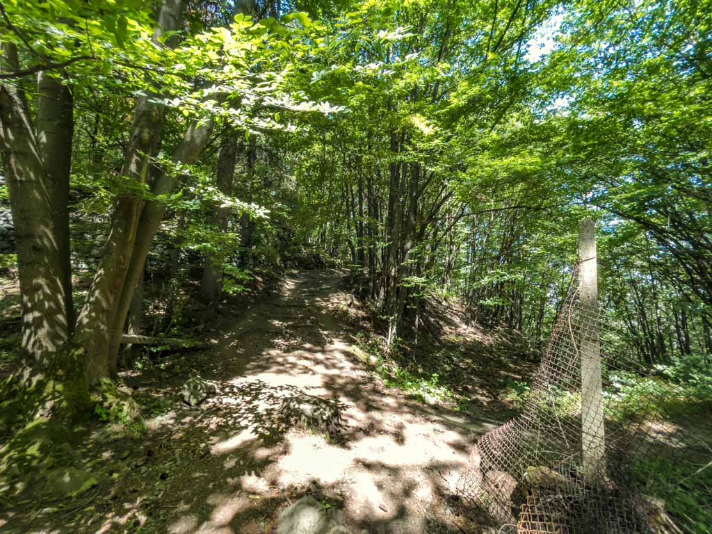 boyana lake to viewpoint vitosha sofia bulgaria - laugh travel eat