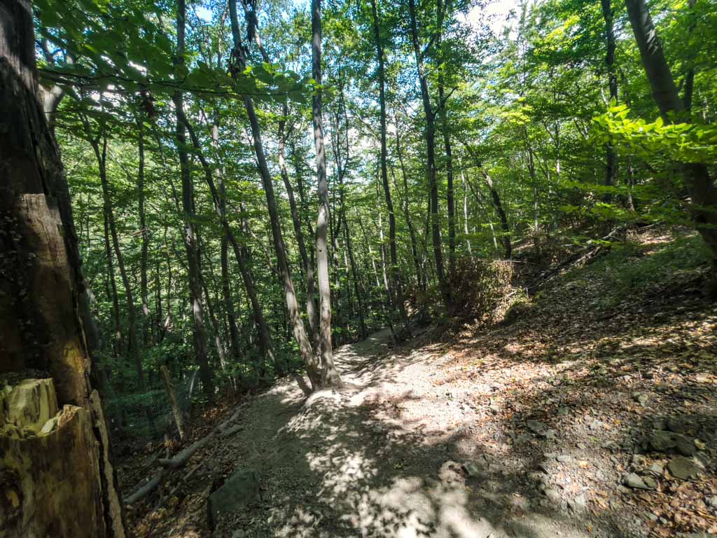 boyana waterfall trail vitosha sofia bulgaria - laugh travel eat-