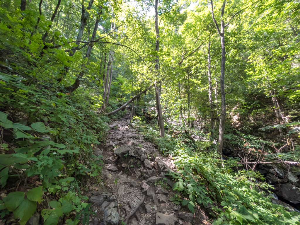 boyana waterfall trail vitosha sofia bulgaria - laugh travel eat