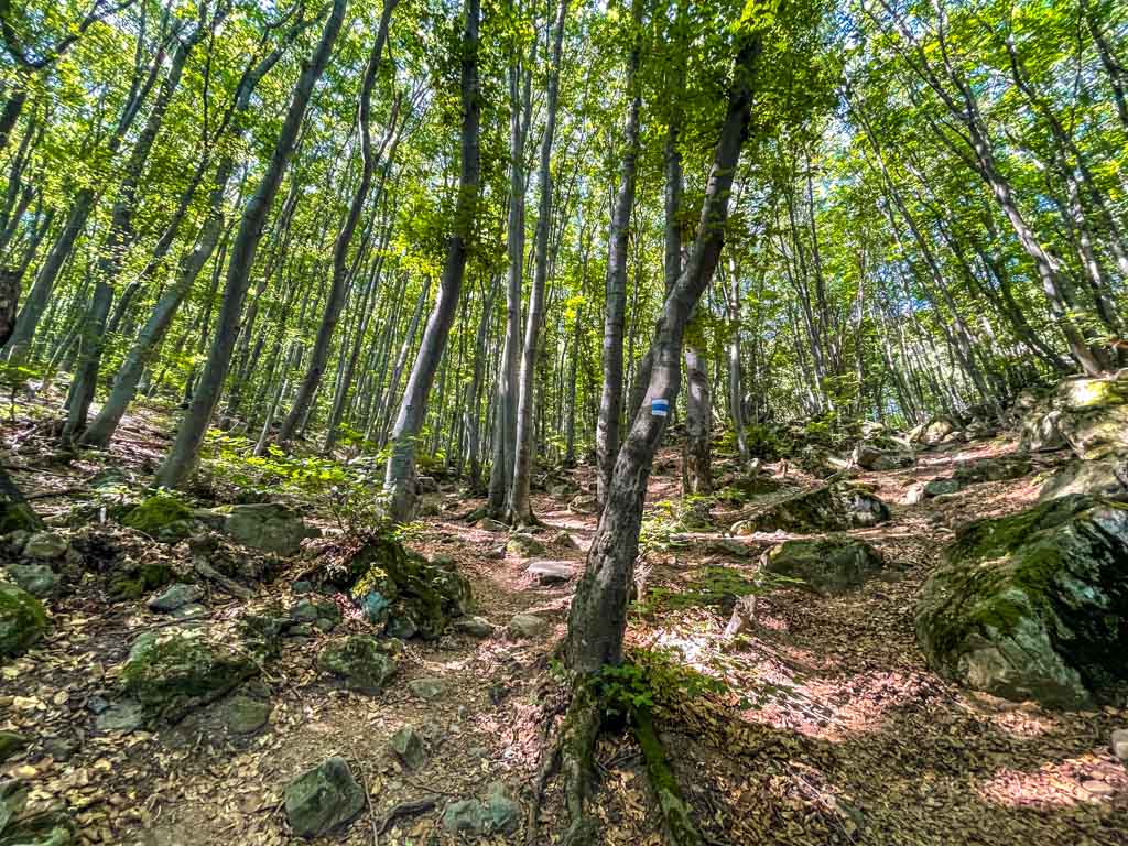 trail start to boyana lake sofia bulgaria - laugh travel eat