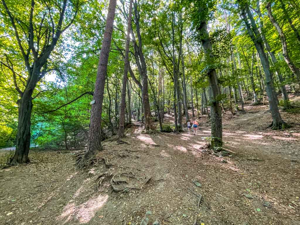 trail start to boyana lake sofia bulgaria - laugh travel eat