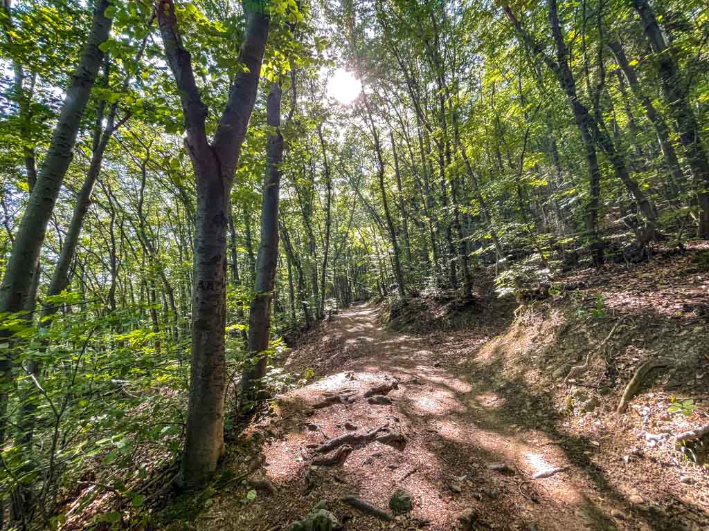 trail start to boyana lake sofia bulgaria - laugh travel eat