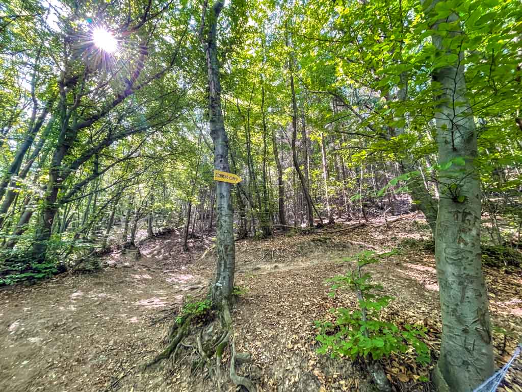 trail start to boyana lake sofia bulgaria - laugh travel eat