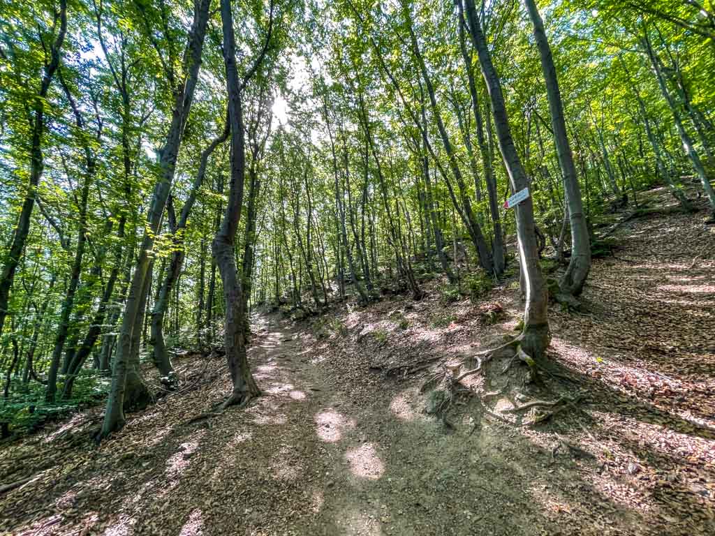 trail start to boyana lake sofia bulgaria - laugh travel eat