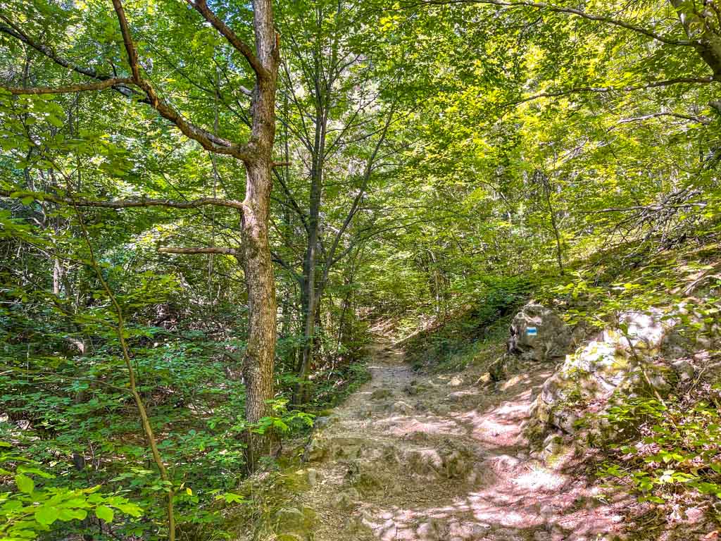 trail start to boyana lake sofia bulgaria - laugh travel eat