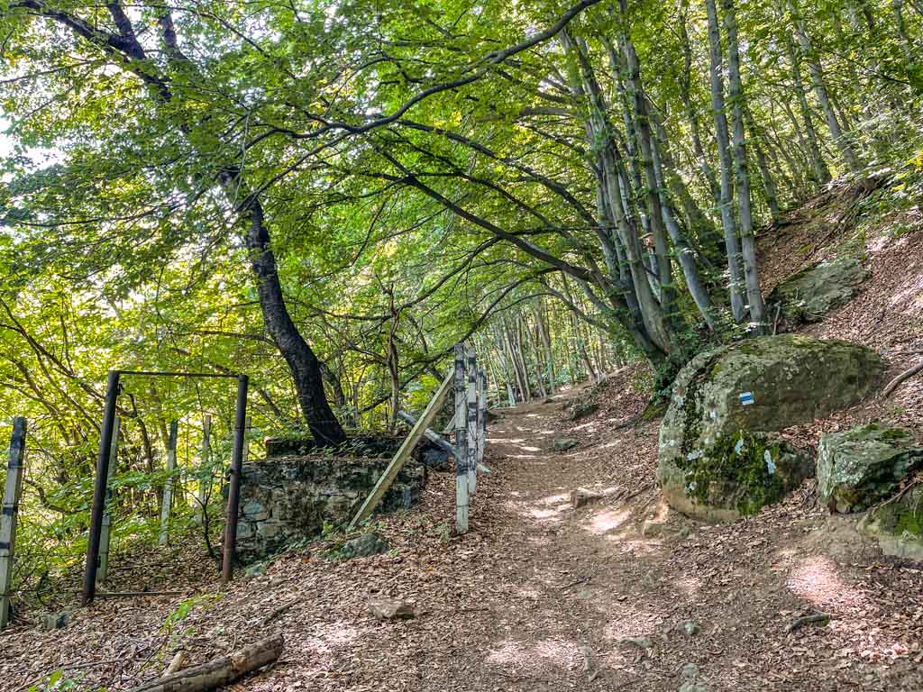trail start to boyana lake sofia bulgaria - laugh travel eat