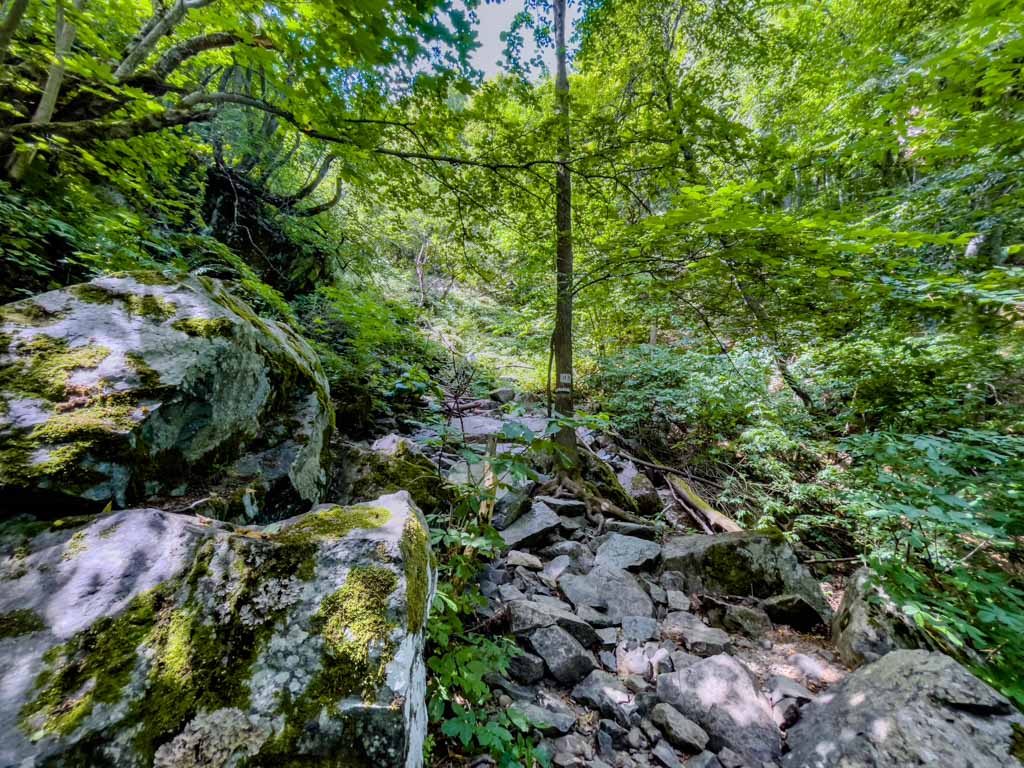 viewpoint to boyana waterfall vitosha sofia bulgaria - laugh travel eat