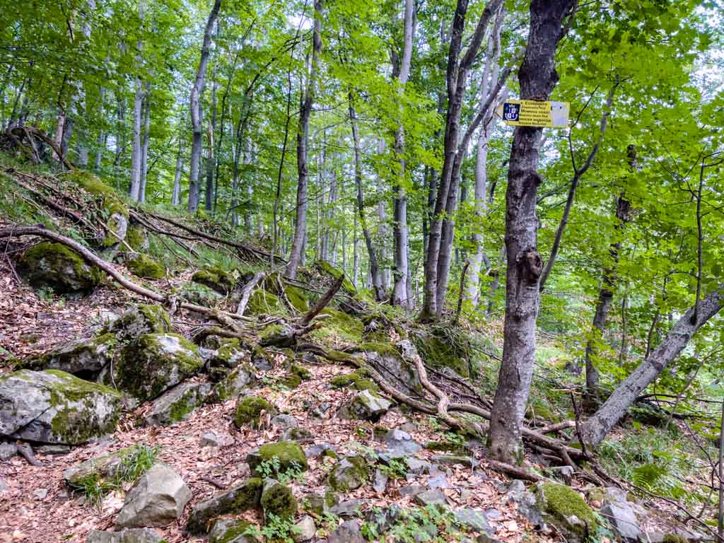 viewpoint to boyana waterfall vitosha sofia bulgaria - laugh travel eat