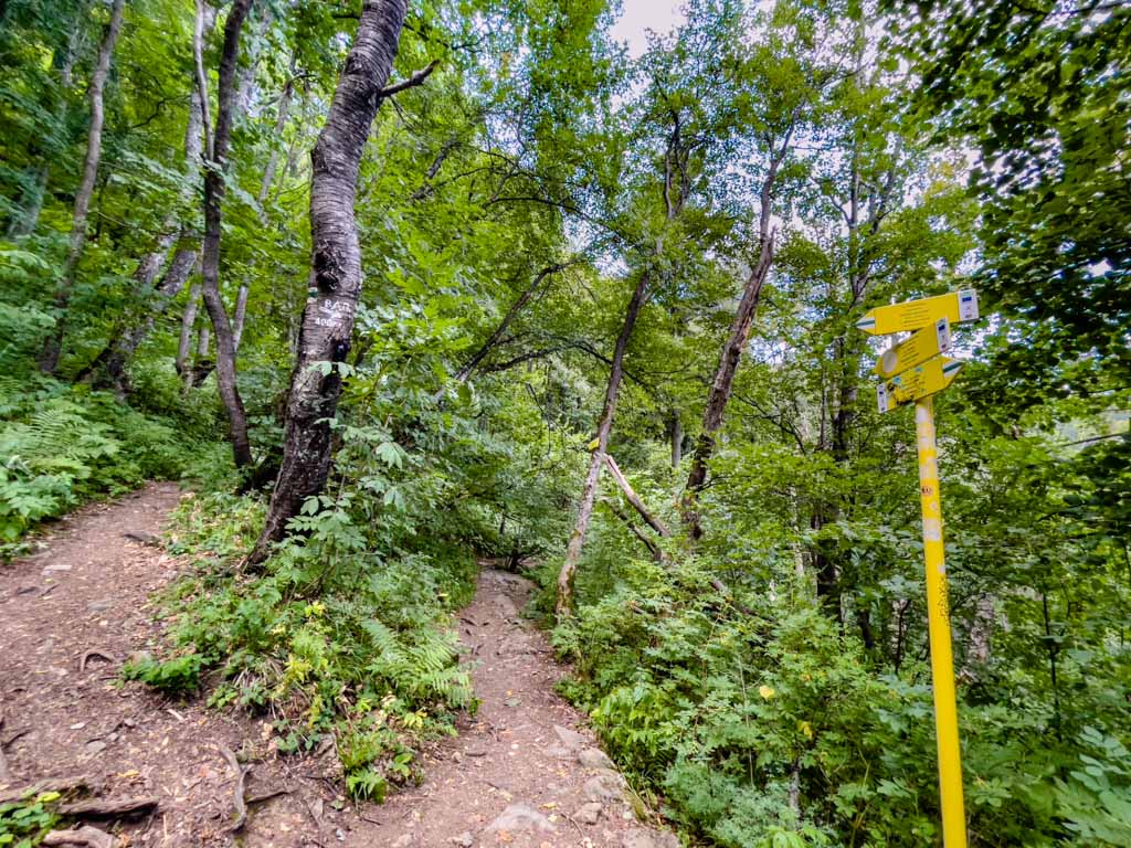 viewpoint to boyana waterfall vitosha sofia bulgaria - laugh travel eat