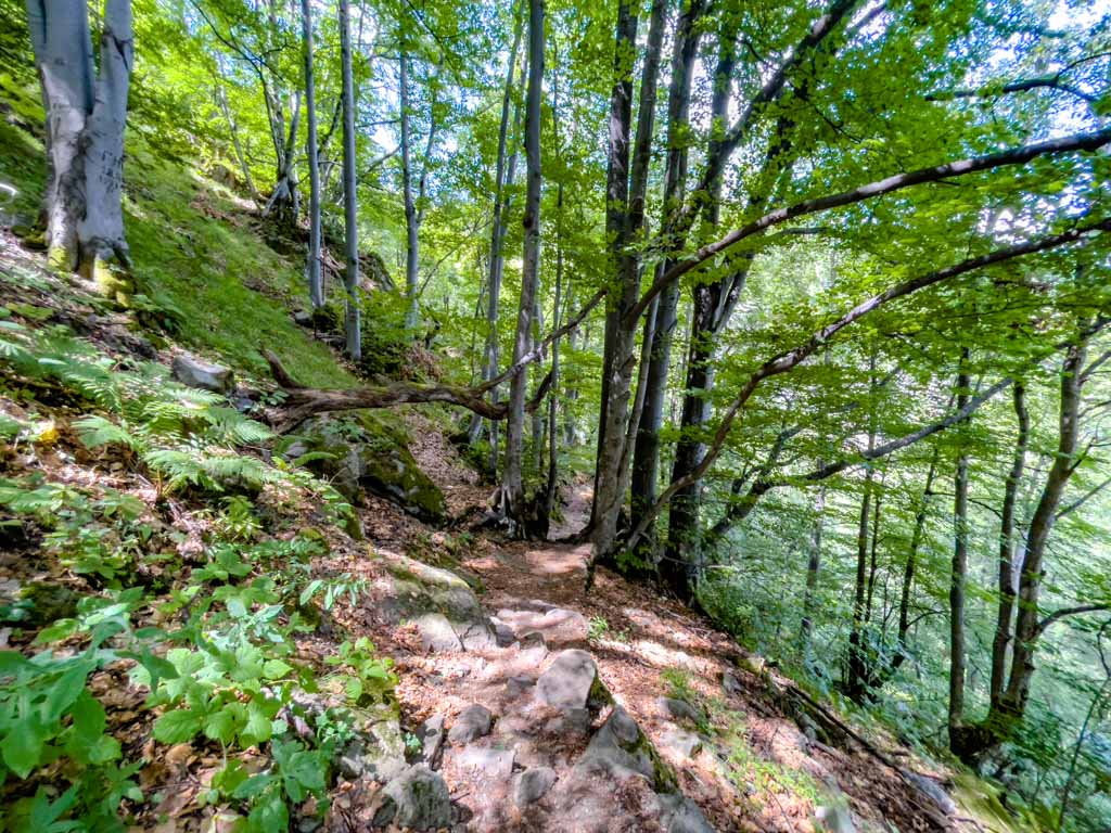 viewpoint to boyana waterfall vitosha sofia bulgaria - laugh travel eat