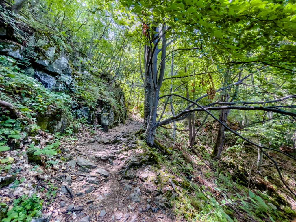 viewpoint to boyana waterfall vitosha sofia bulgaria - laugh travel eat