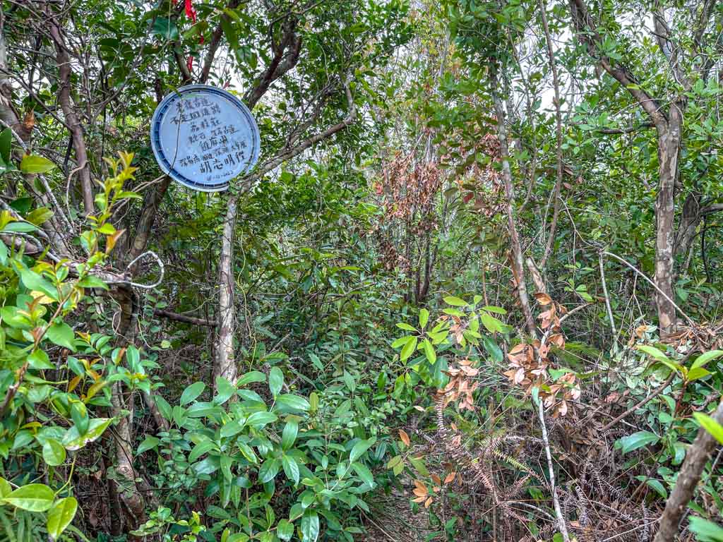 down from shek nga tau sham chung sai kung hong kong- laugh travel eat