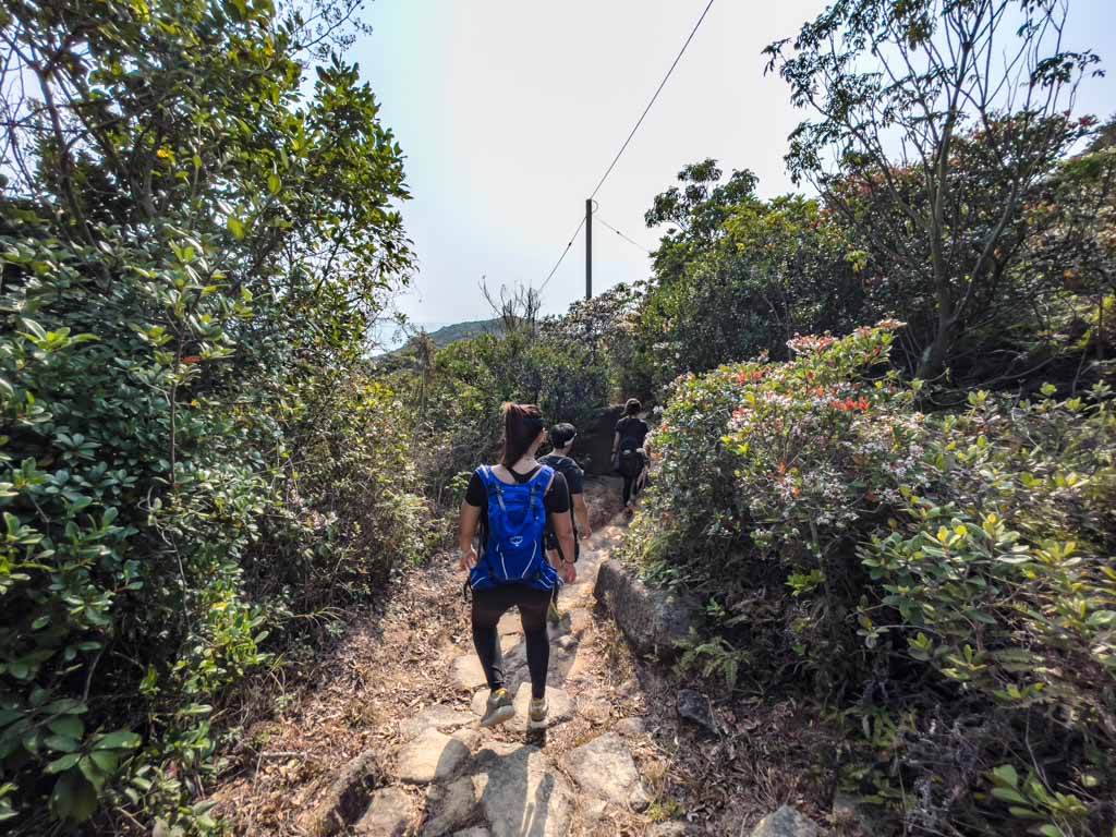 fan lau fort to fan lau village fan lau country trail lantau trail section 8 fan lau hike lantau island hong kong- laugh travel eat