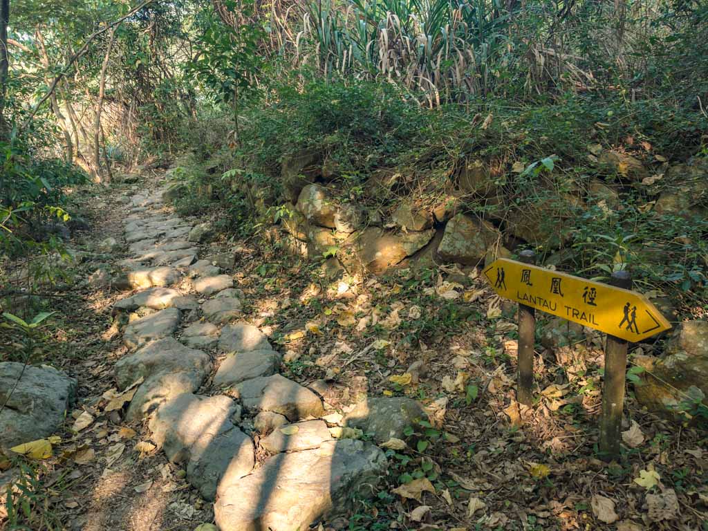 fan lau village to yi o tsuen lantau trail section 8 fan lau hike lantau island hong kong- laugh travel eat