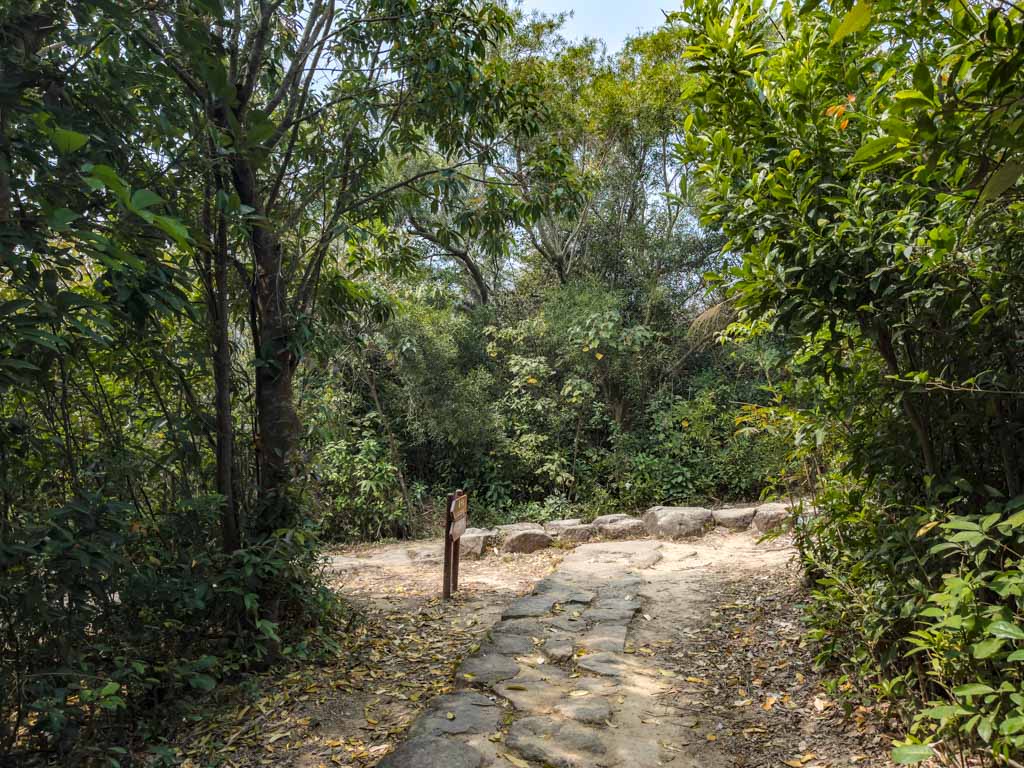 kau ling chung to fan lau country trail lantau trail section 8 fan lau hike lantau island hong kong- laugh travel eat