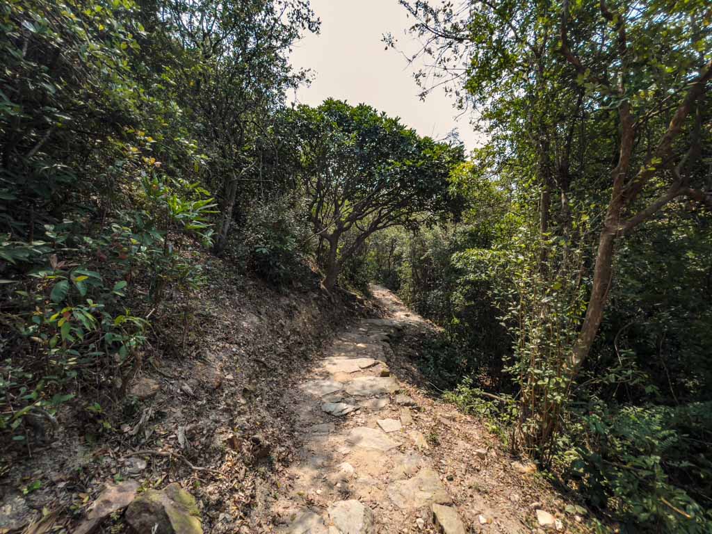 kau ling chung to fan lau country trail lantau trail section 8 fan lau hike lantau island hong kong- laugh travel eat