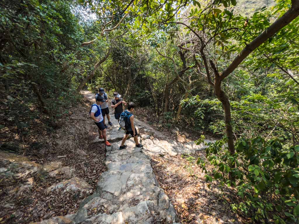 kau ling chung to fan lau country trail lantau trail section 8 fan lau hike lantau island hong kong- laugh travel eat