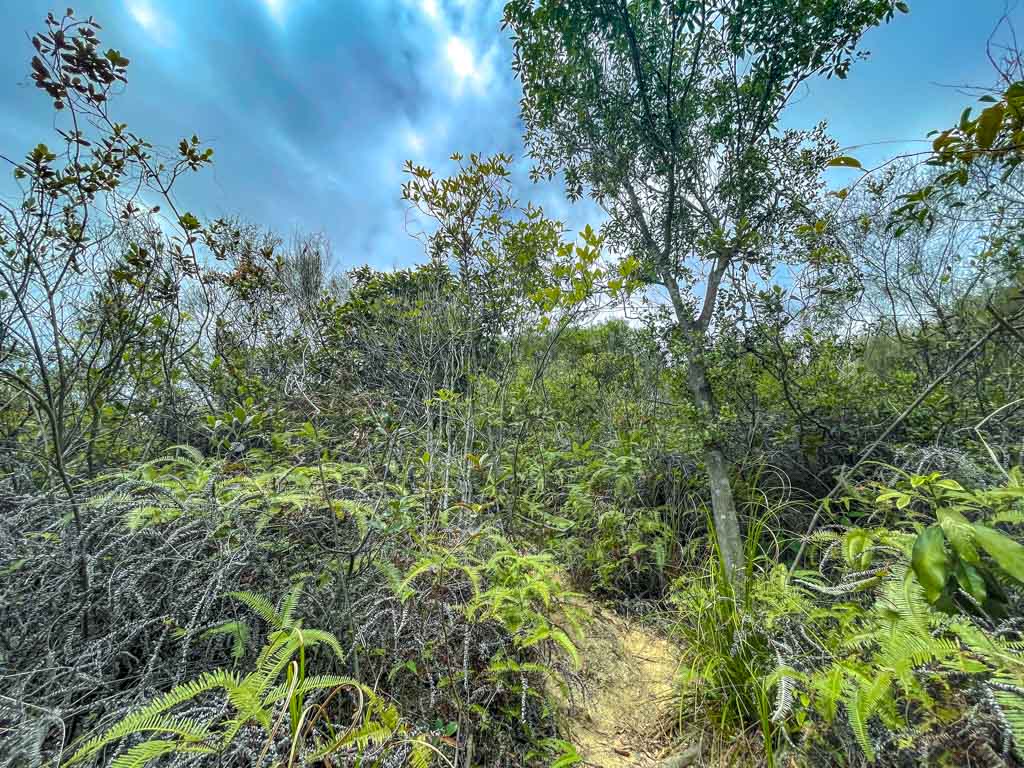 shek nga tau sham chung sai kung hong kong- laugh travel eat