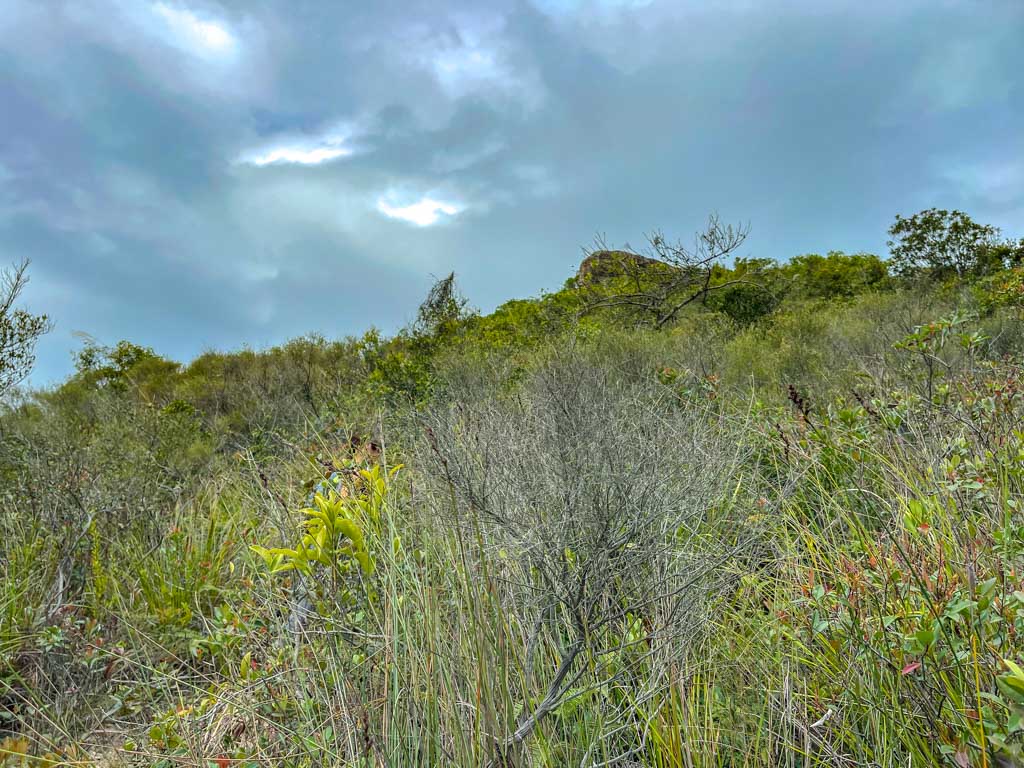 shek nga tau sham chung sai kung hong kong- laugh travel eat