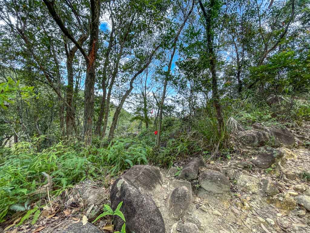 snack rock at she shek au sai kung hong kong- laugh travel eat