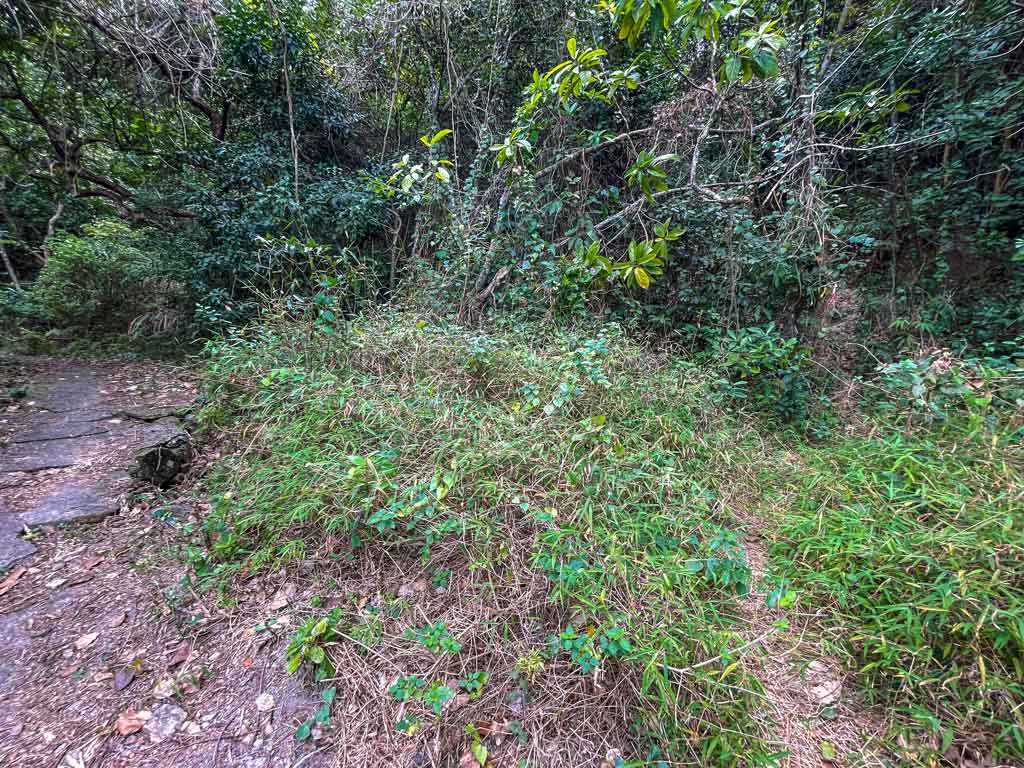 trail start sham chung to shek nga tau sai kung hong kong- laugh travel eat