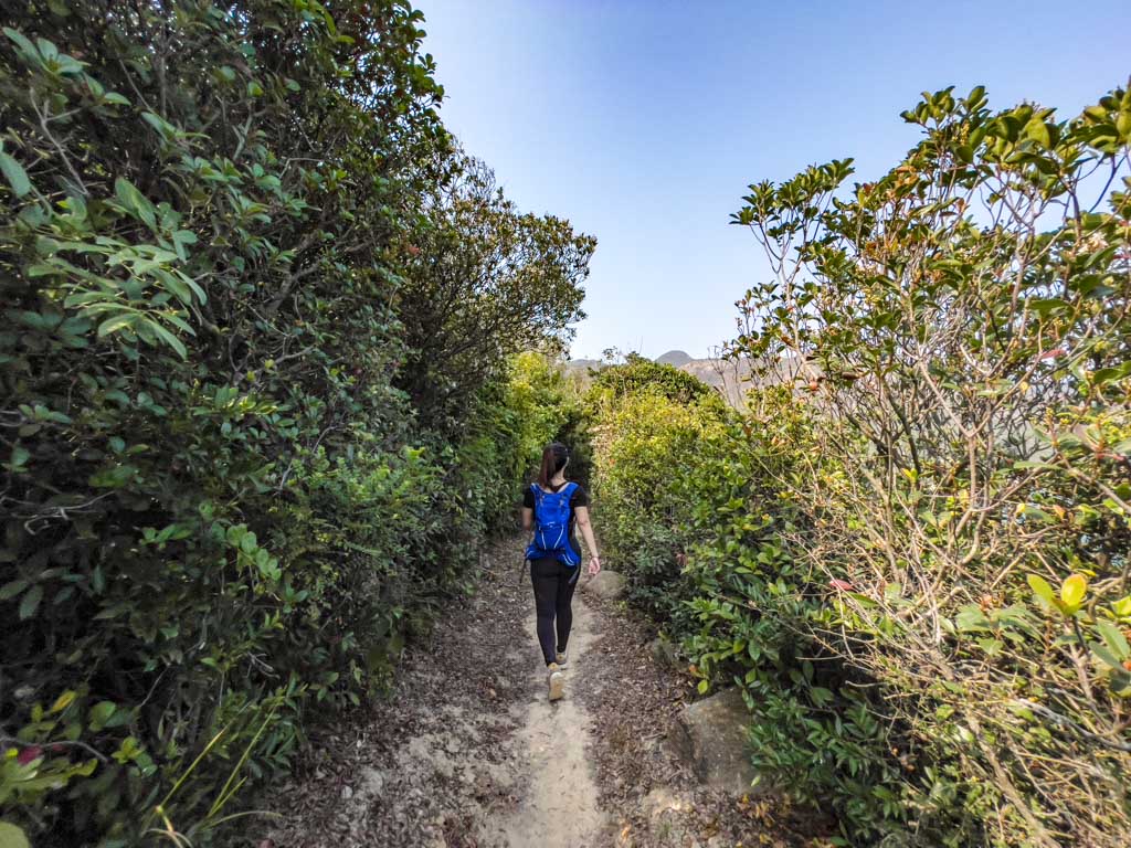 viewpoint to fan lau fort fan lau country trail lantau trail section 8 fan lau hike lantau island hong kong- laugh travel eat
