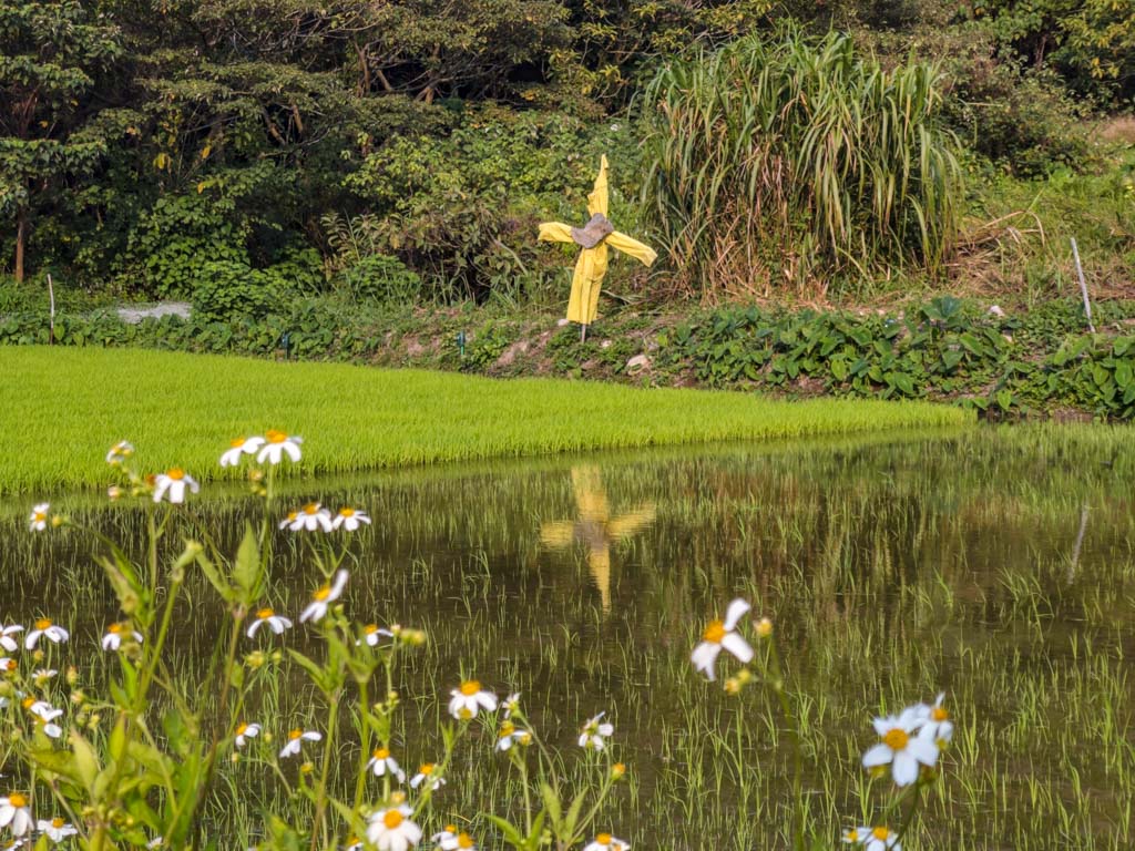 yi o tsuen lantau trail section 8 fan lau hike lantau island hong kong- laugh travel eat