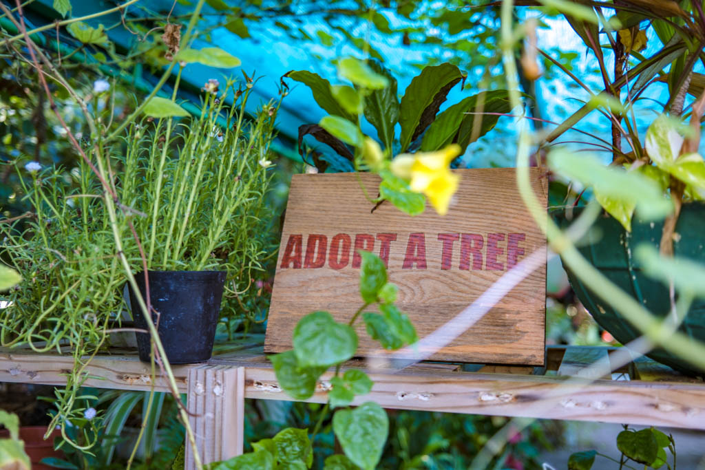 Adopt a Tree Green Fingers Villa Park Sun Island Maldives - laugh travel eat