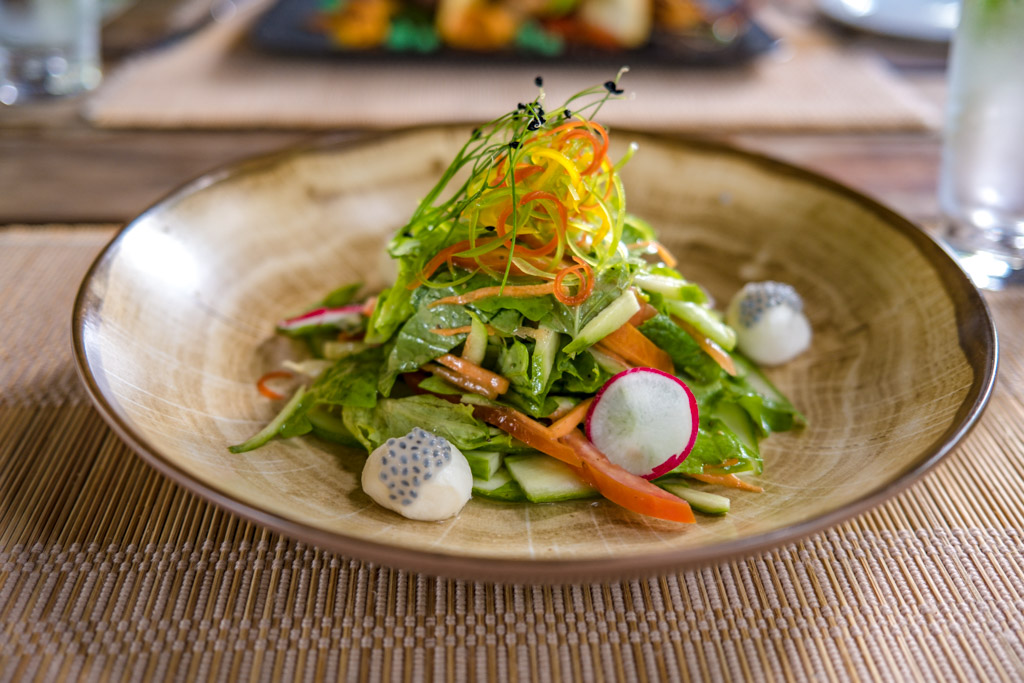 farm picked salad Zero Restaurant Villa Park Sun Island Maldives - laugh travel eat