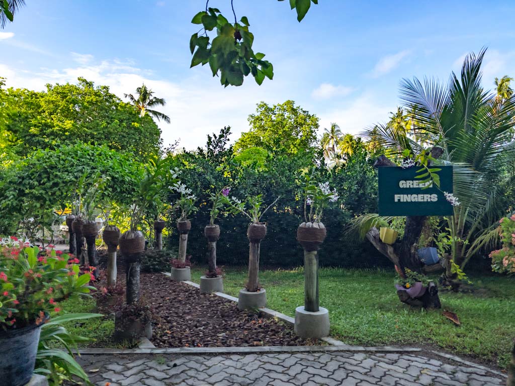 green fingers Villa Park Sun Island Maldives - laugh travel eat-5