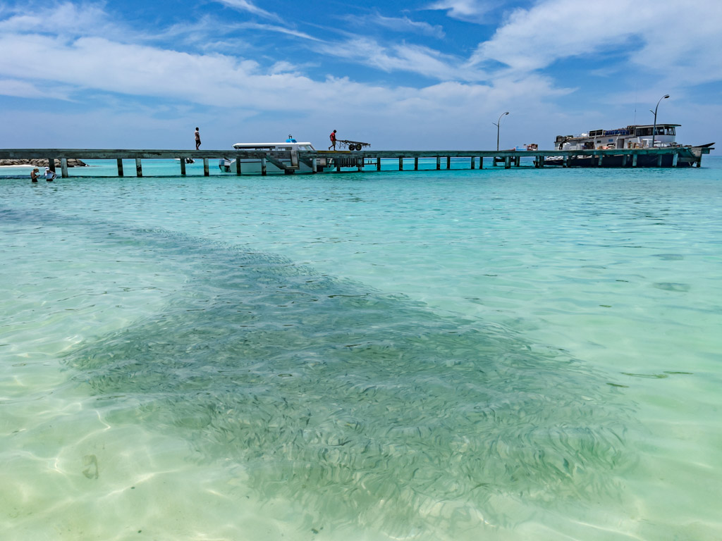 school of fishes on Fulidhoo Maldives - laugh travel eat