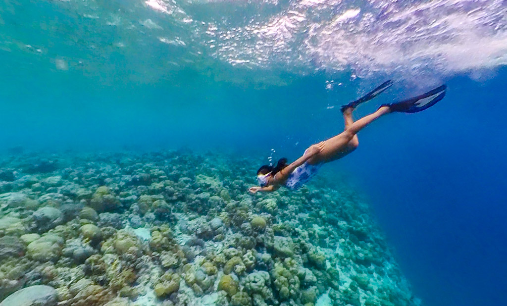snorkelling Baa Atoll Royal Island Resort Maldives - laugh travel eat