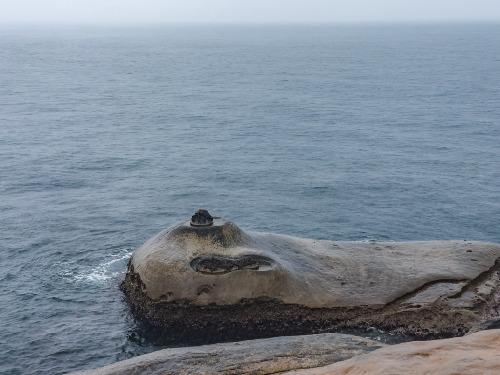 flip flop rock yehliu geo park taipei taiwan - laugh travel eat
