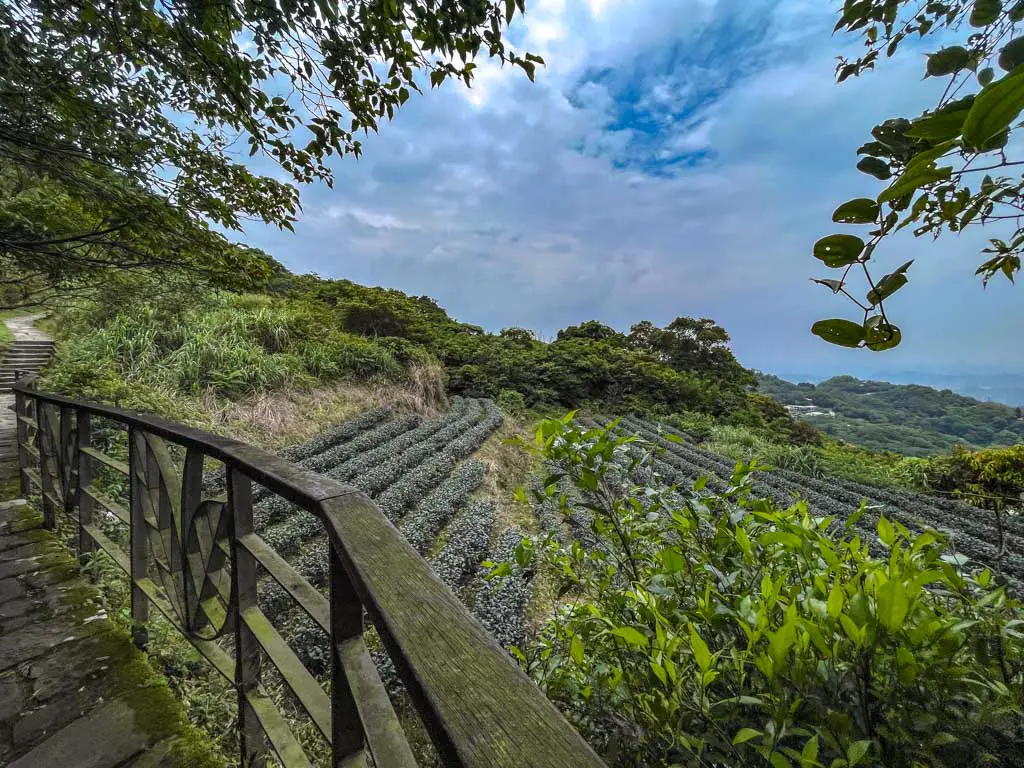 zhanghu trail maokong taipei taiwan - laugh travel eat-5