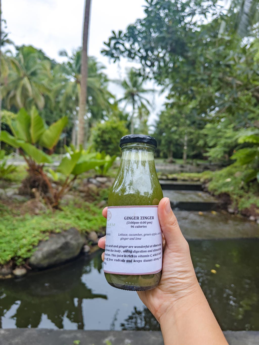 afternoon juice cleanse San Benito Philippines - laugh travel eat