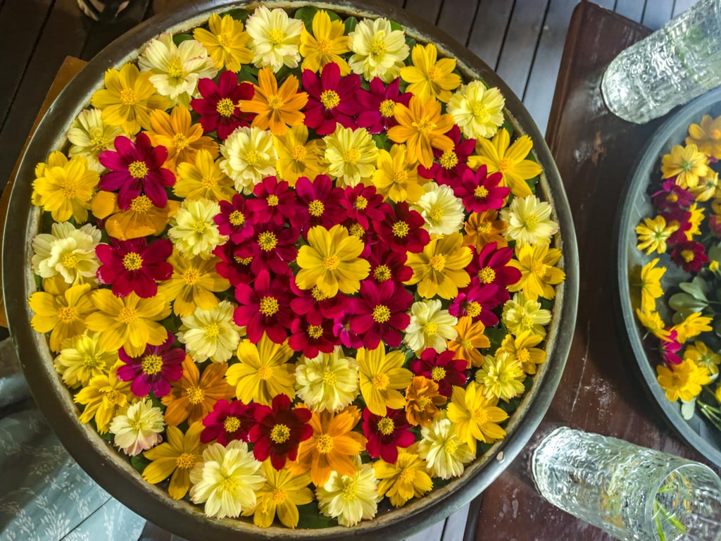 mandalay flower arrangement Farm at San Benito Philippines - laugh travel eat